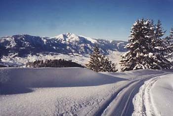 snowmobiletrackslrg